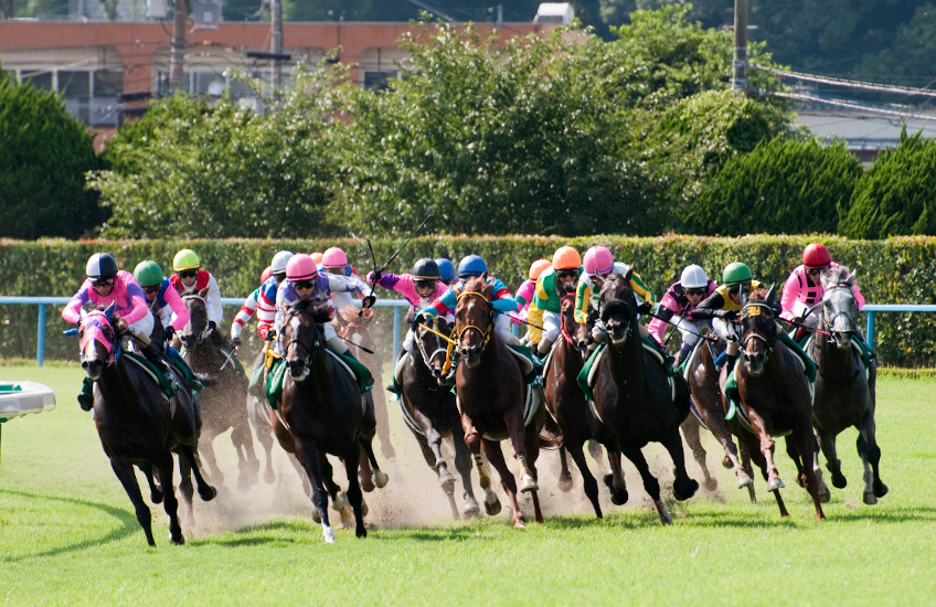 hire a mini bus for horse racing events